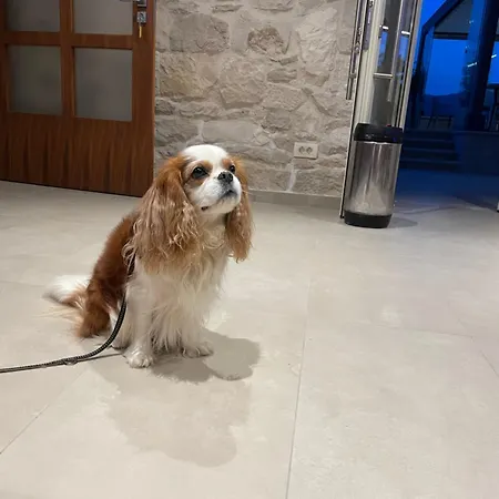 Heritage Viganj Ξενοδοχείο