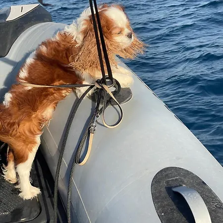 Hotel Heritage Viganj