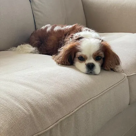 Heritage Viganj Hotel