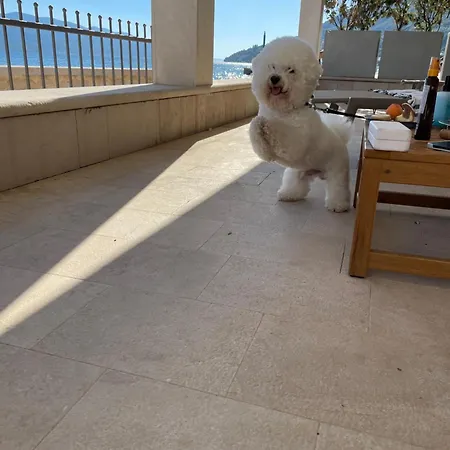 Heritage Viganj Ξενοδοχείο Orebić