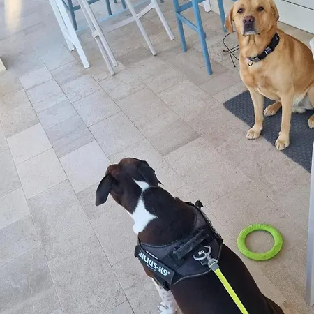 Heritage Viganj Orebić