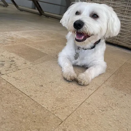 Heritage Viganj 4* Orebić