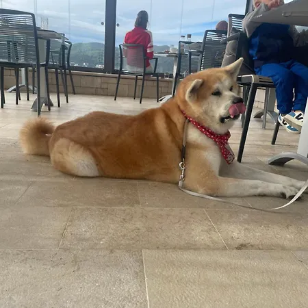 Heritage Viganj Orebić