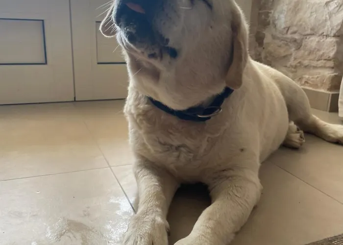 Hotel Heritage Viganj